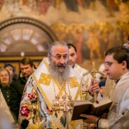 Предстоятель очолив Божественну літургію у кафедральному соборі Борисполя