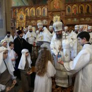 Собор Богородиці Бориспіль