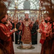Пам'ять священномученика Володимира, митрополита Київського