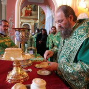 В день пам'яті преподобного Антонія Печерського митрополит Бориспільський і Броварський Антоній святкує день тезоімеництва