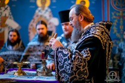 Митрополит Бориспільський і Броварський Антоній звершив Літургію Передосвячених Дарів в Академічному храмі