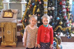 Парафії Бориспільської єпархії святкують Різдво Христове (оновлено)