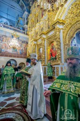 Митрополит Бориспільський і Броварський Антоній взяв участь у єпископській хіротонії вікарія Ніжинської єпархії