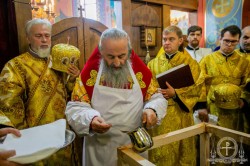 Митрополит Бориспільський і Броварський Антоній взяв участь в освяченні храму у Вишневому
