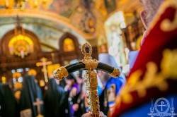 Митрополит Бориспільський і Броварський Антоній взяв участь у чині наречення трьох новообраних вікарних єпископів