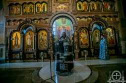 Акафіст Божественним Страстям Христовим у Кафедральному соборі м. Бориспіль
