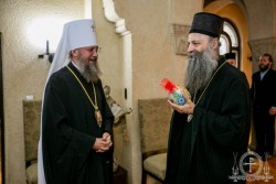 Митрополит Бориспільський і Броварський Антоній в Бєлграді привітав з обранням Святійшого Патріарха Сербського Порфирія