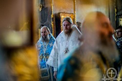 Митрополит Бориспільський і Броварський Антоній взяв участь у хіротонії єпископа Волноваського