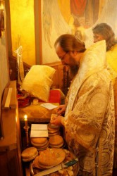 Митрополит Бориспільський і Броварський Антоній молився за мир в Україні у столиці Болгарії
