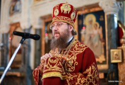 Пам'ять священномученика Володимира, митрополита Київського